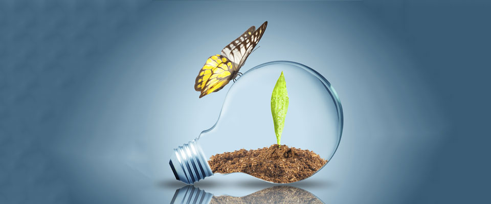 Sustainable Construction