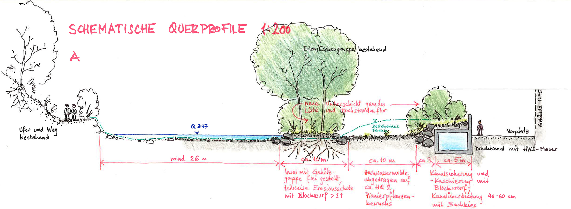 Schematisches Querprofil zum ökologischen Ausgleich und Ersatz im Bereich der Hochwasserinsel.