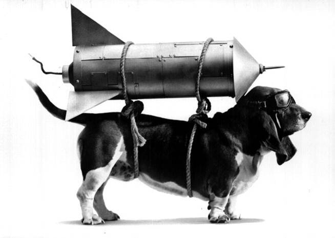 b1